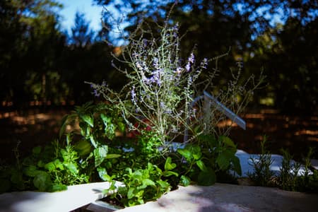 Live Kitchen — Francisca Sotto & Jeremy Morris